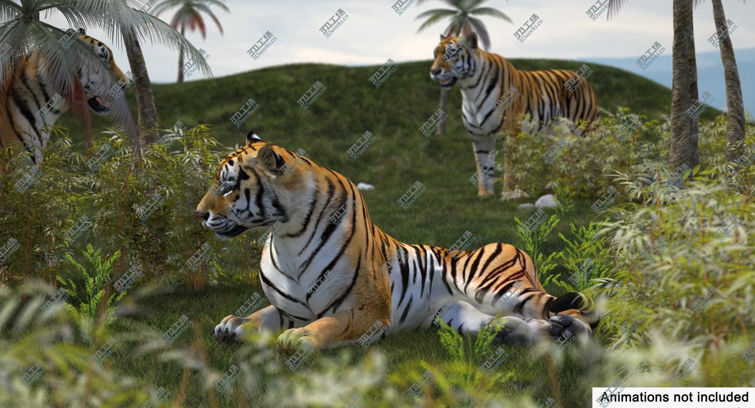 images/goods_img/202104092/3D Tiger Rigged for Cinema 4D/2.jpg